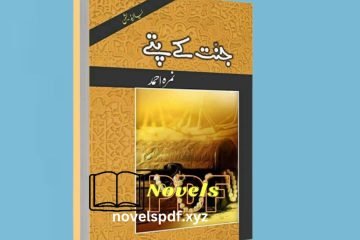 Jannat Kay Pattay Novel