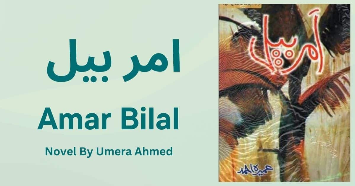 Amar Bail Novel