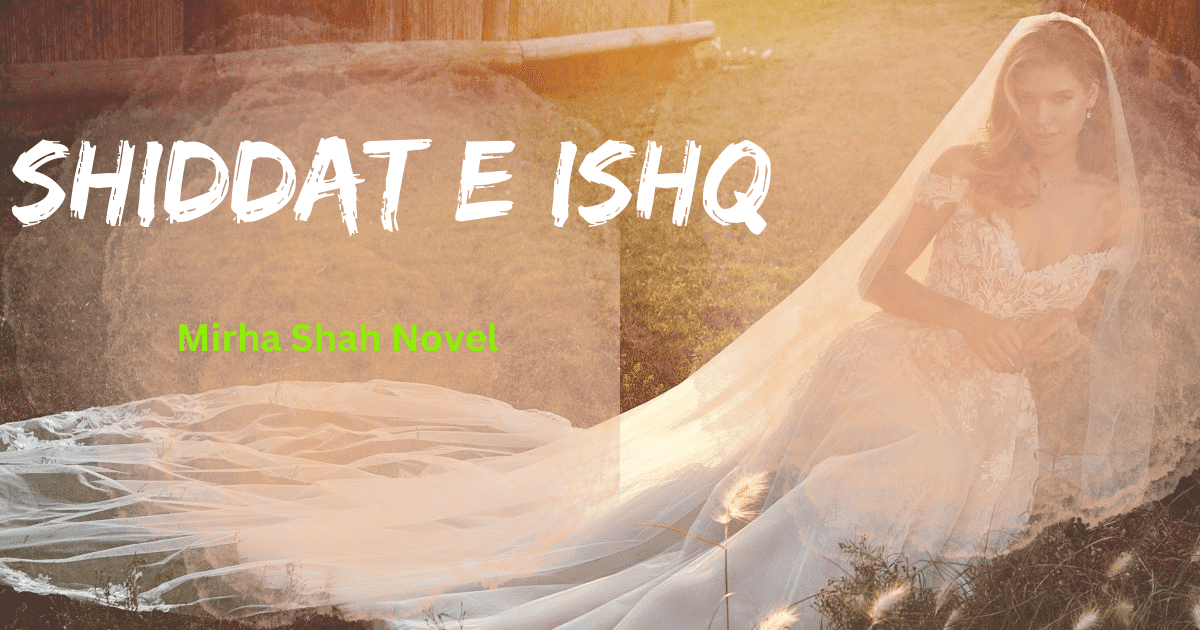 Shiddat e Ishq Novel